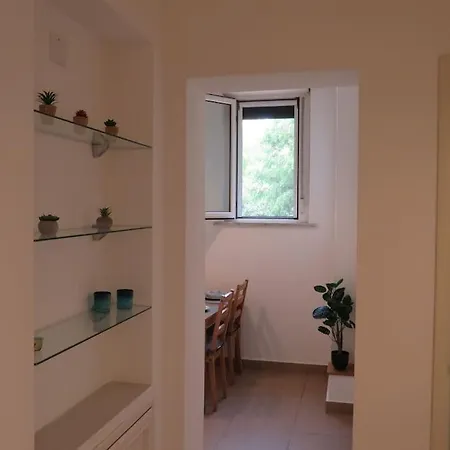 Relax Nel Verde- Giodapi Palm * Palermo