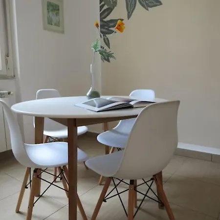 Relax Nel Verde- Giodapi Palm *